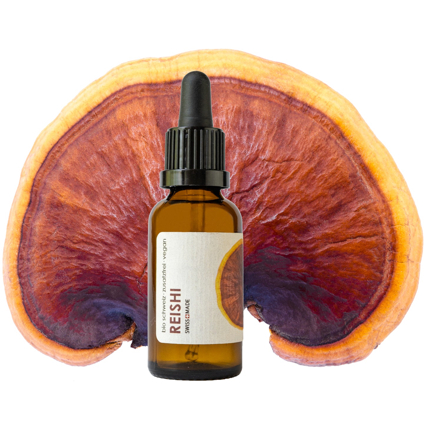 Reishi