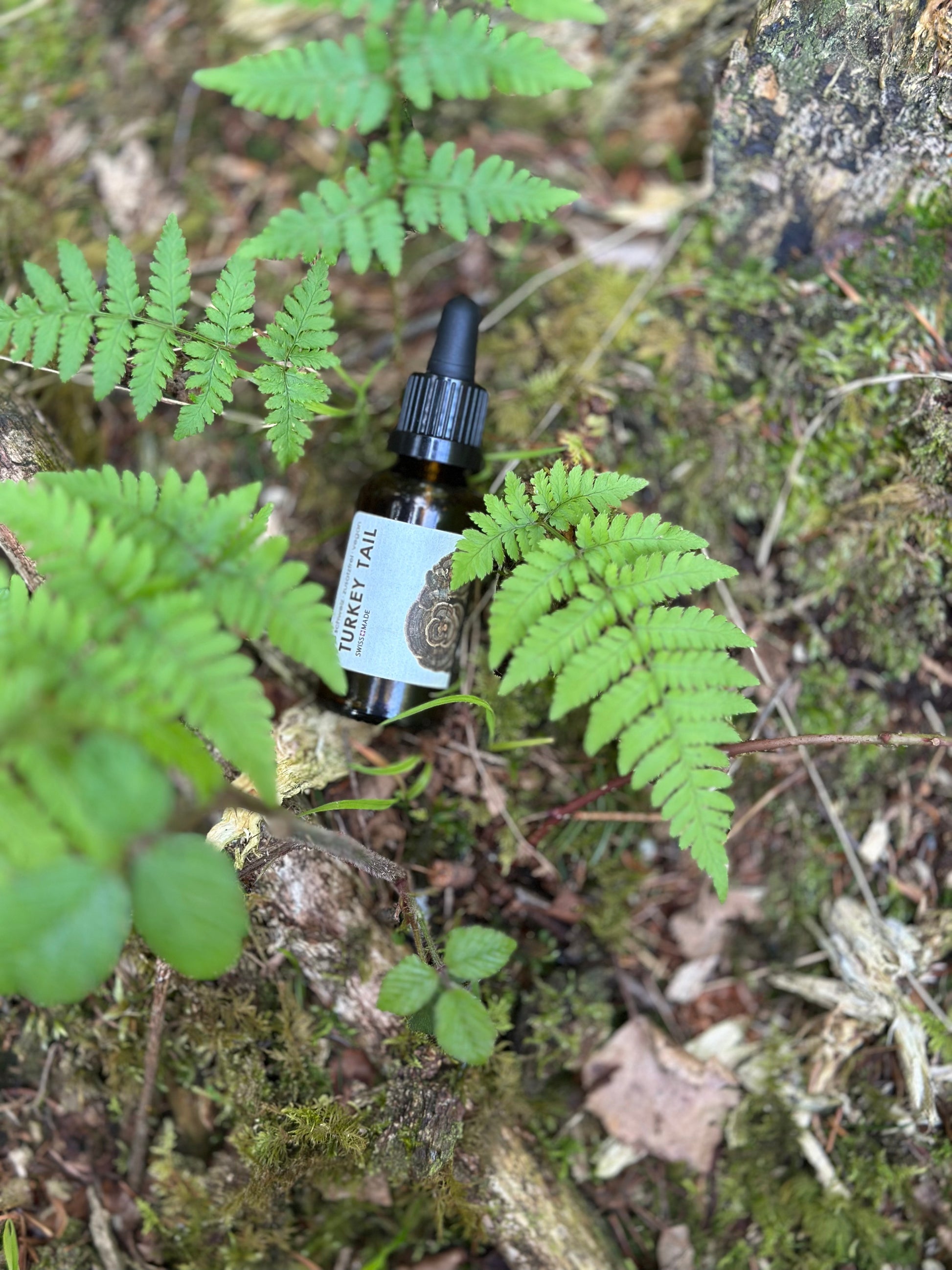 vitalpilz kaufen turkey tail