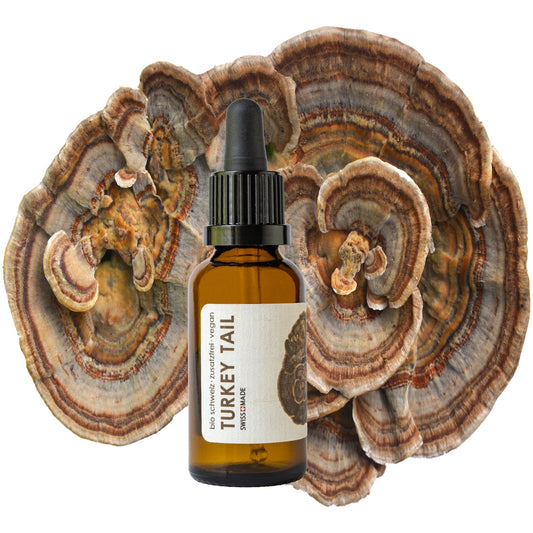 Turkey Tail BIO