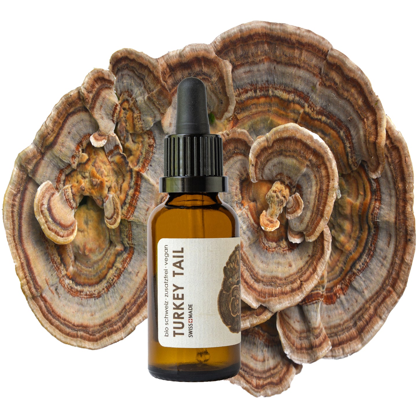 turkey tail vitalpilz kaufen