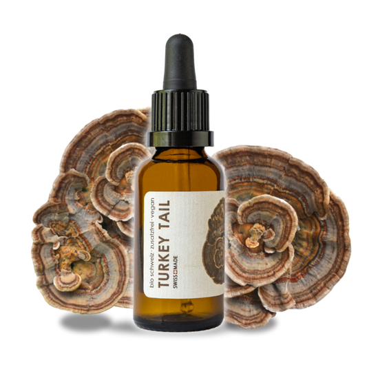 Turkey Tail BIO