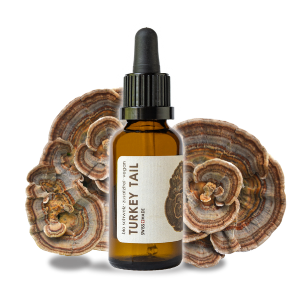 Turkey Tail BIO